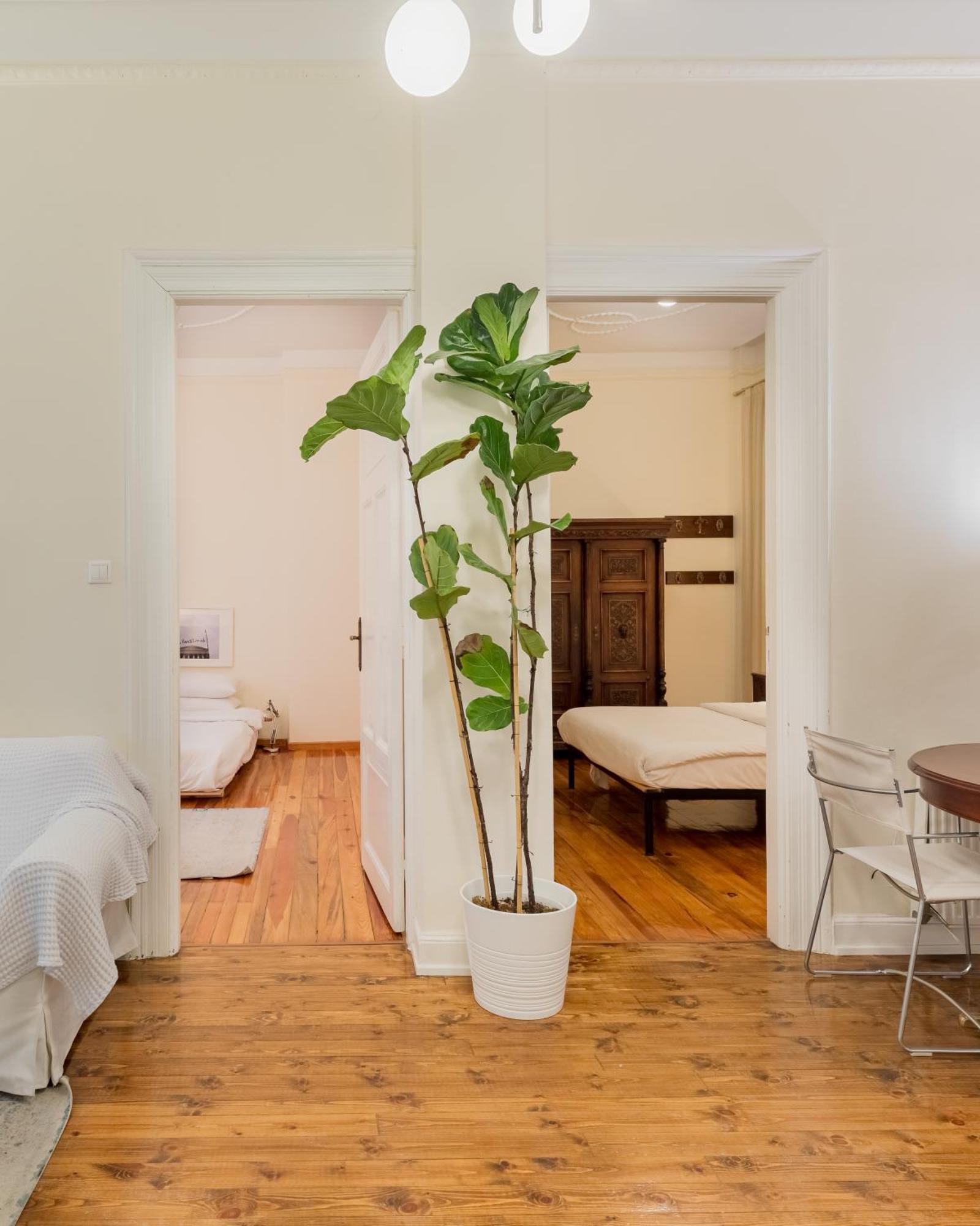 #Magnolia Apt By Halu! Apartments Thessaloníki Exteriör bild